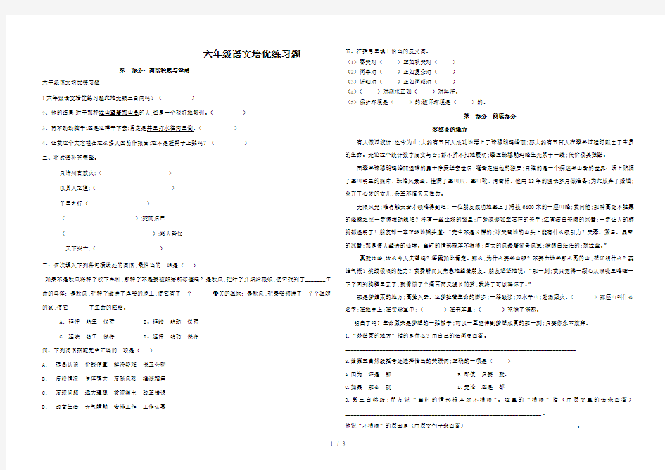 六年级语文培优练习题