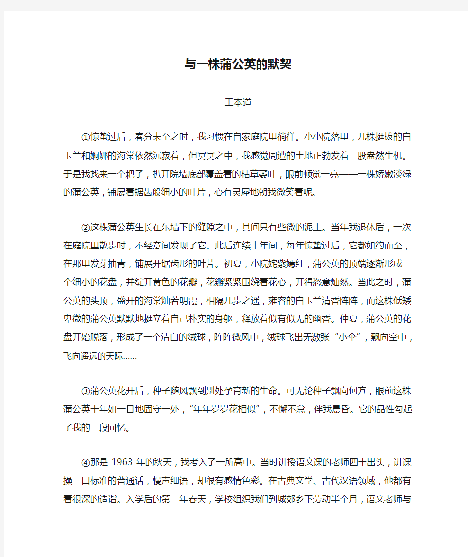 《与一株蒲公英的默契》阅读练习及答案解析