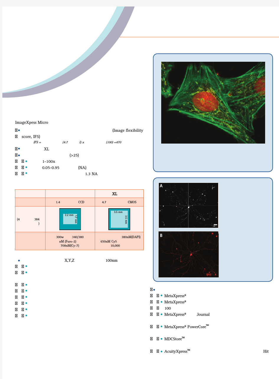 ImageXpress Micro 宽场成像高内涵细胞分析与成像系统