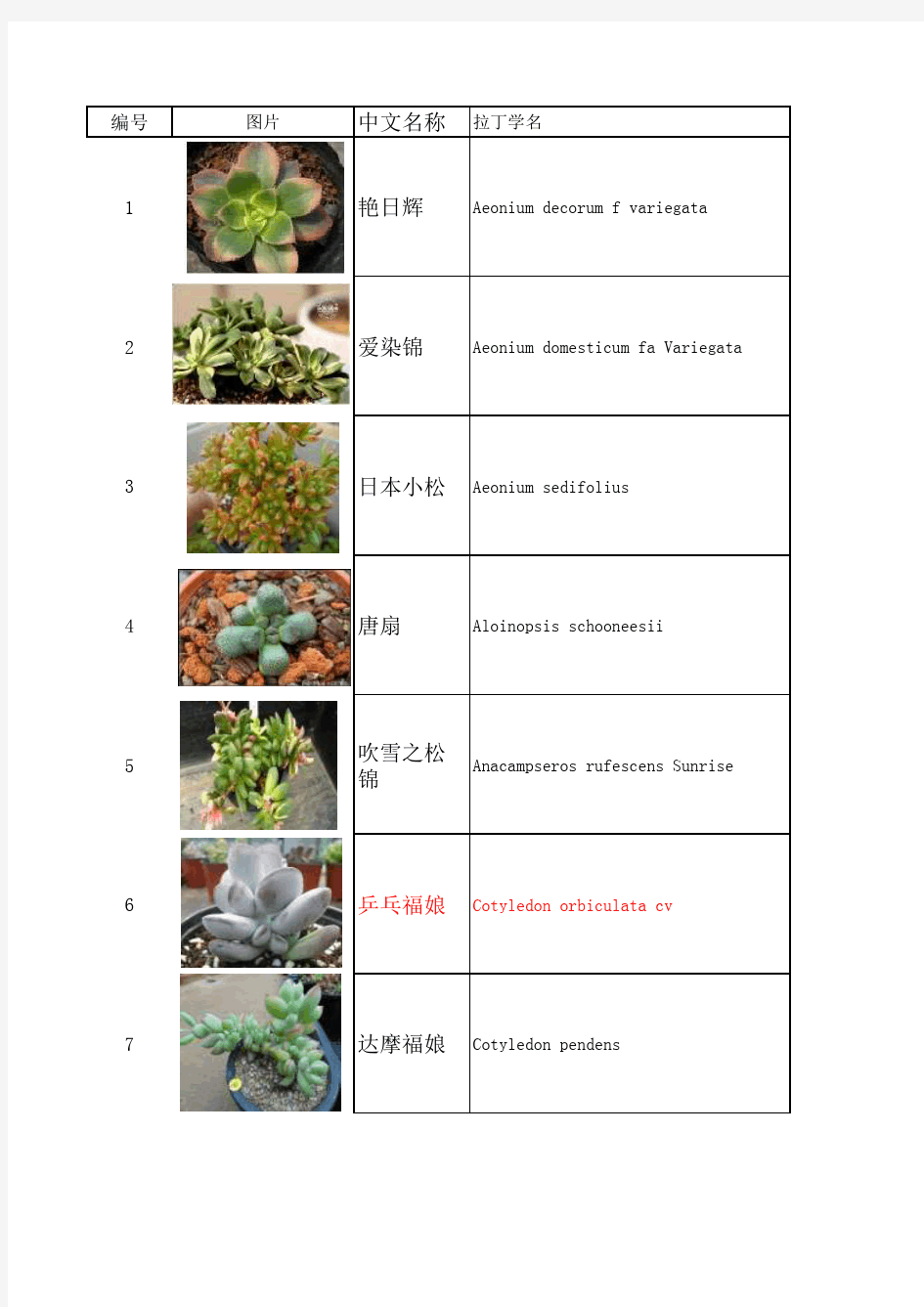 280种多肉植物学名图片(中英韩)
