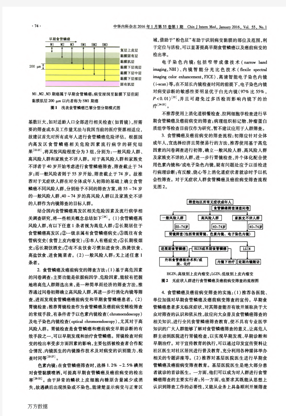 中国早期食管鳞状细胞癌及癌前病变筛查与诊治共识(2015年·北京)