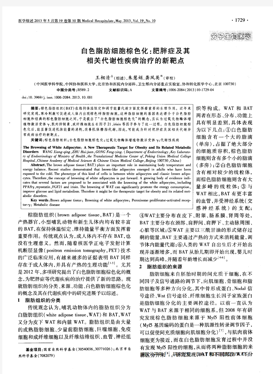 白色脂肪细胞棕色化：肥胖症及其相关代谢性疾病治疗的新靶点