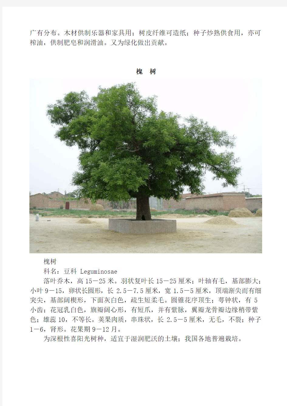 (完整版)常见树木的简介含图片