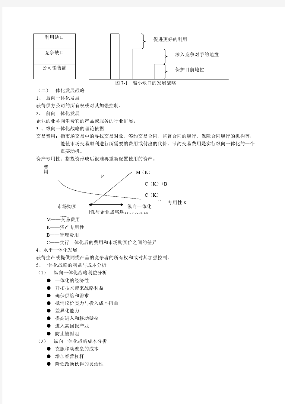 企业总体战略方案