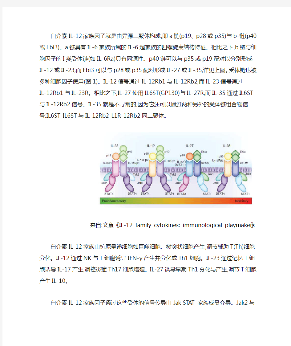 IL12家族细胞因子研究进展