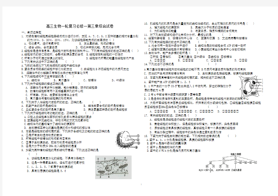 (完整版)高中生物必修一第三章练习题及答案