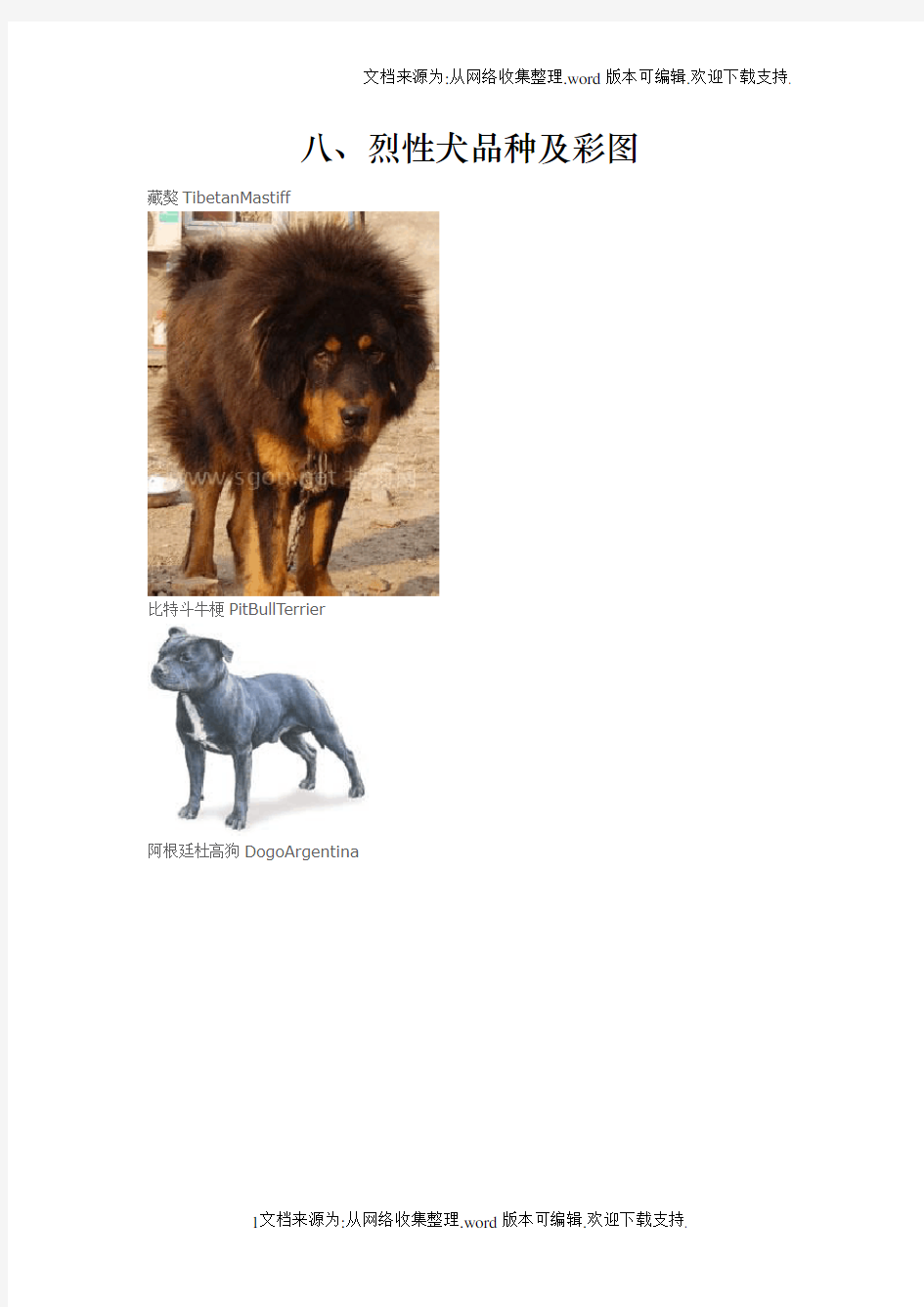 烈性犬品种及彩图