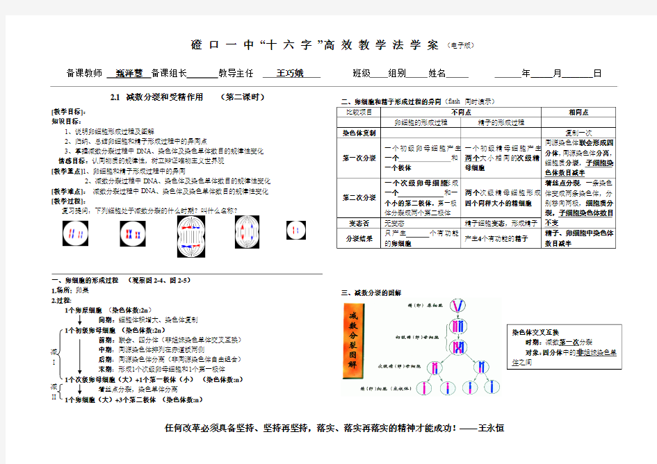 2.1 减数分裂和受精作用第二课时