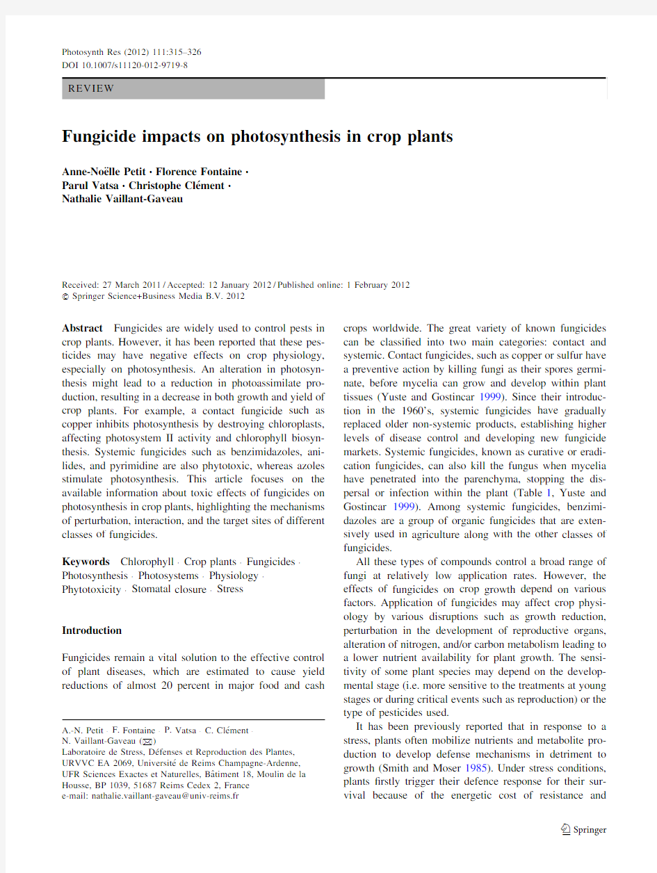Fungicide impacts on photosynthesis in crop plants( 2012)