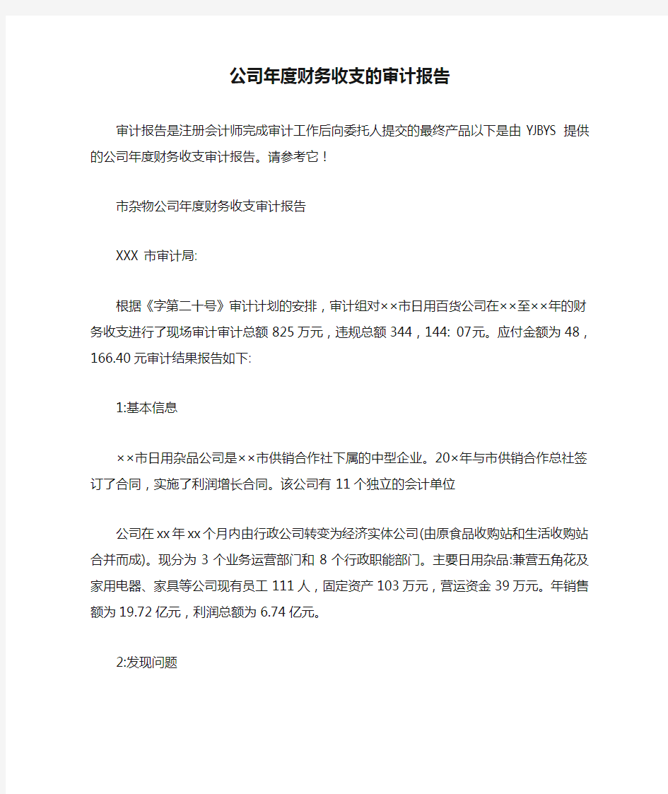 公司年度财务收支的审计报告.doc