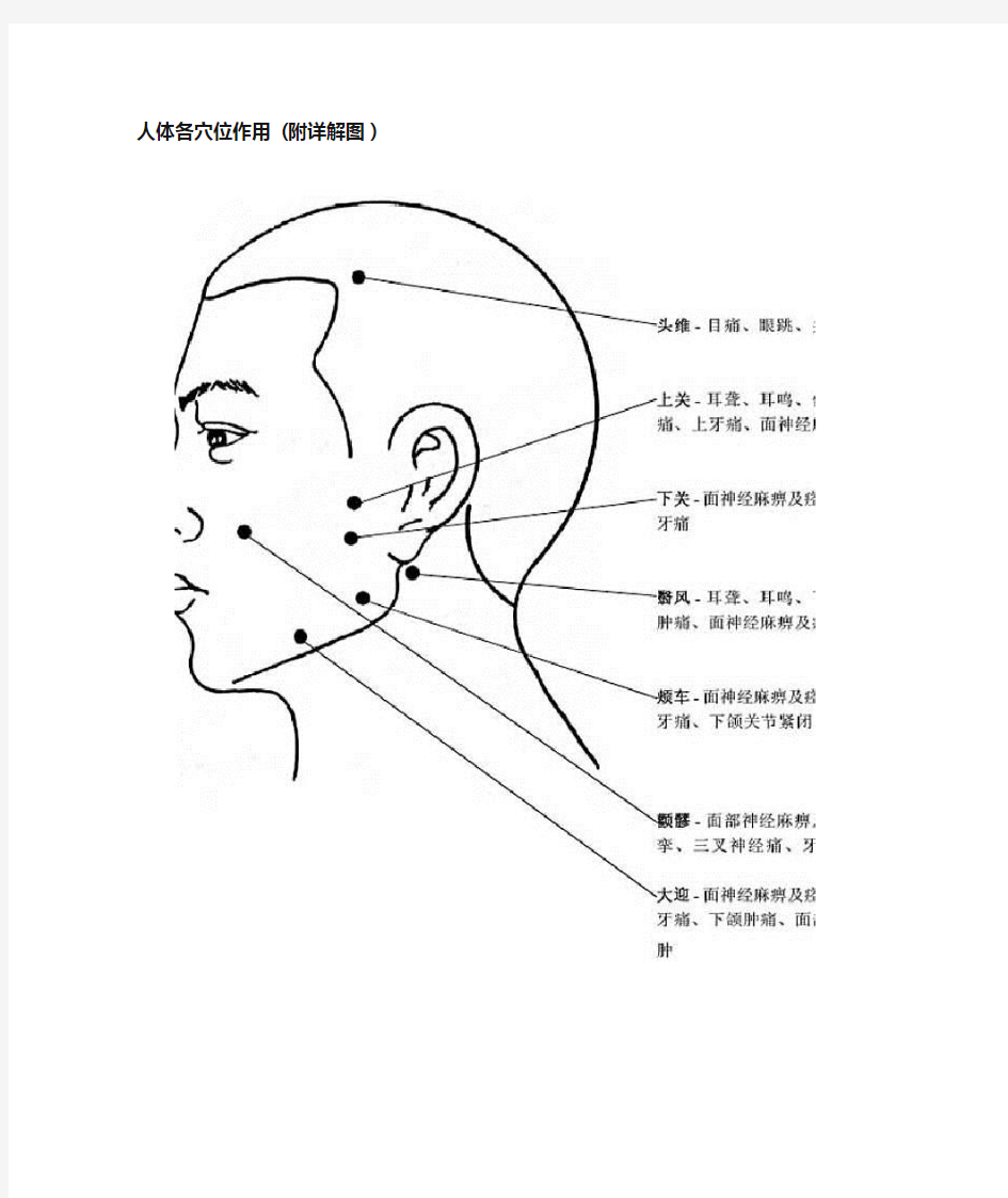 人体各穴位作用 (附详解图)