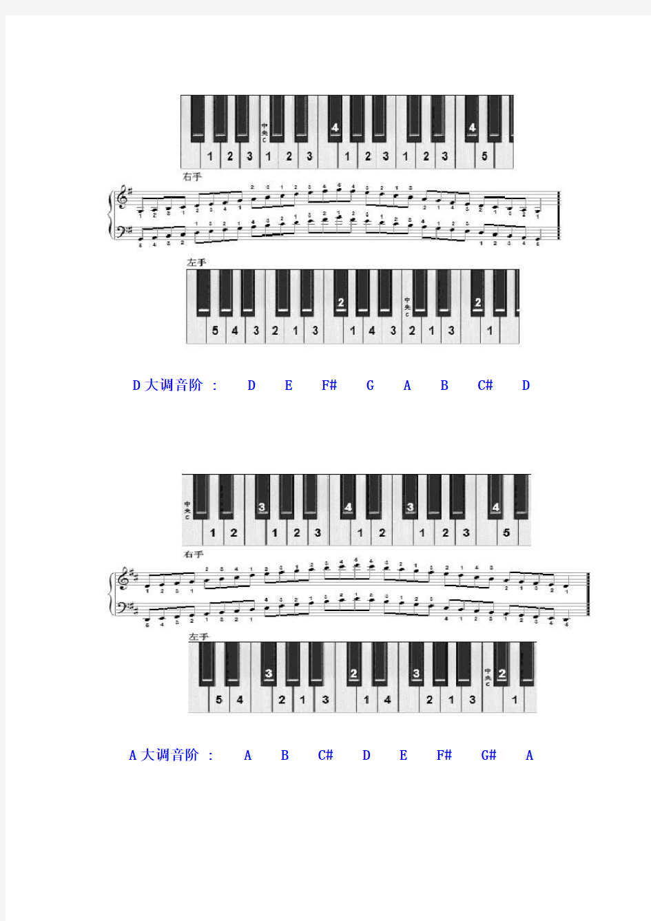 十二个大调的音阶及其左右手的指法图示