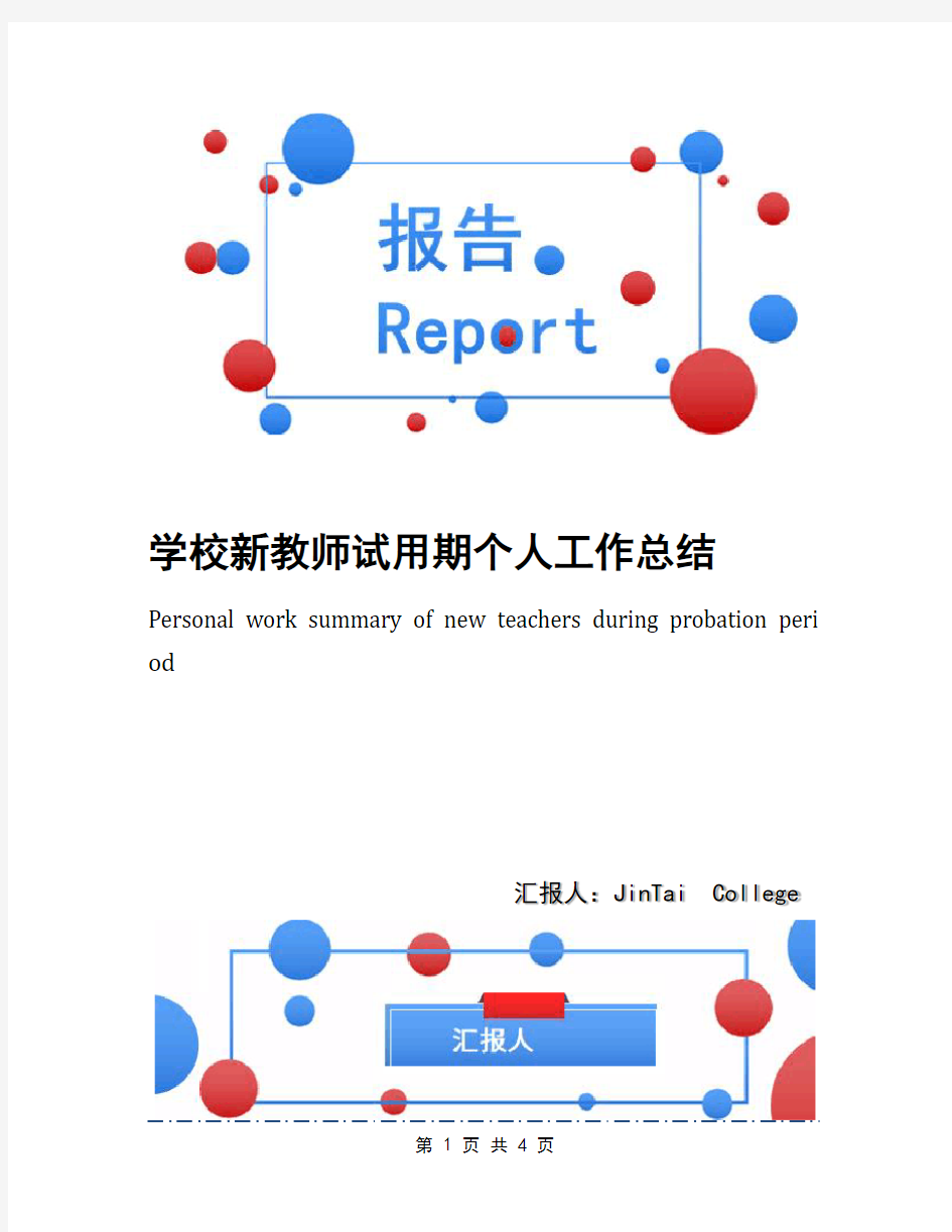 学校新教师试用期个人工作总结