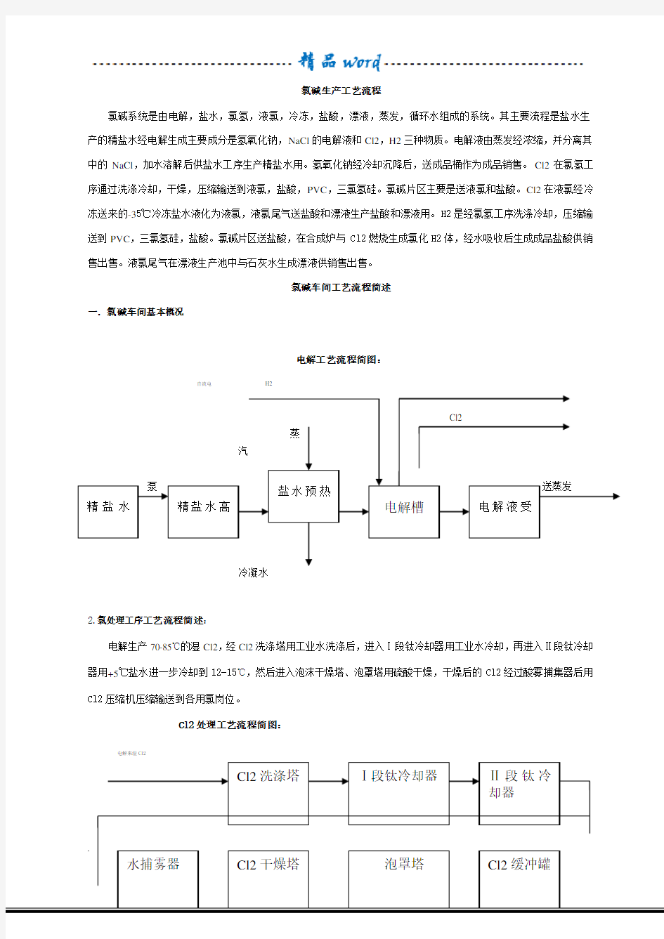 氯碱生产工艺流程 (1)