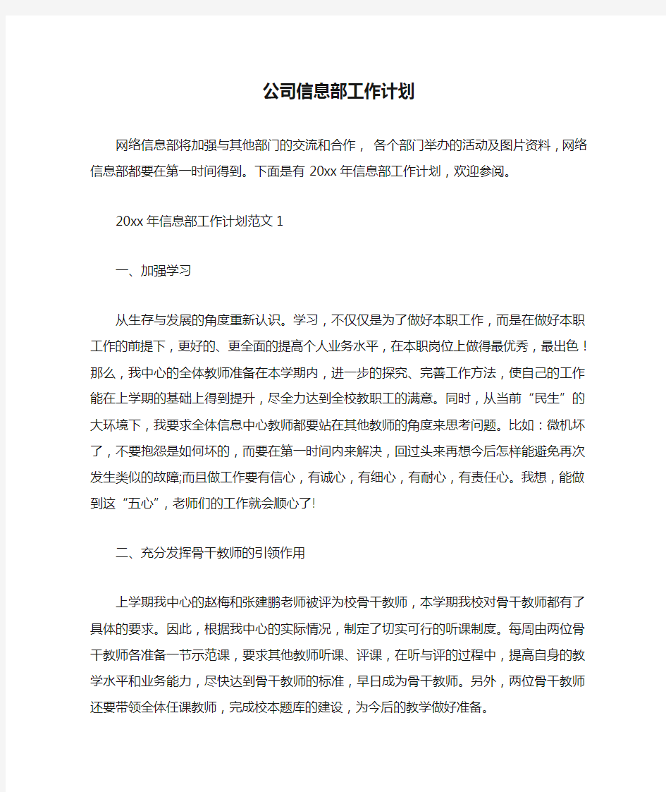 公司信息部工作计划