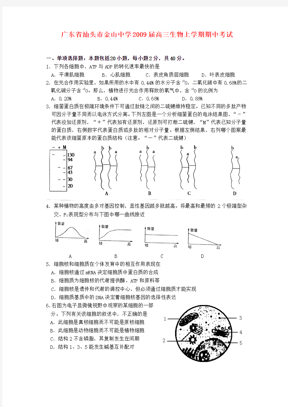 广东省汕头市金山中学2009届高三生物上学期期中考试