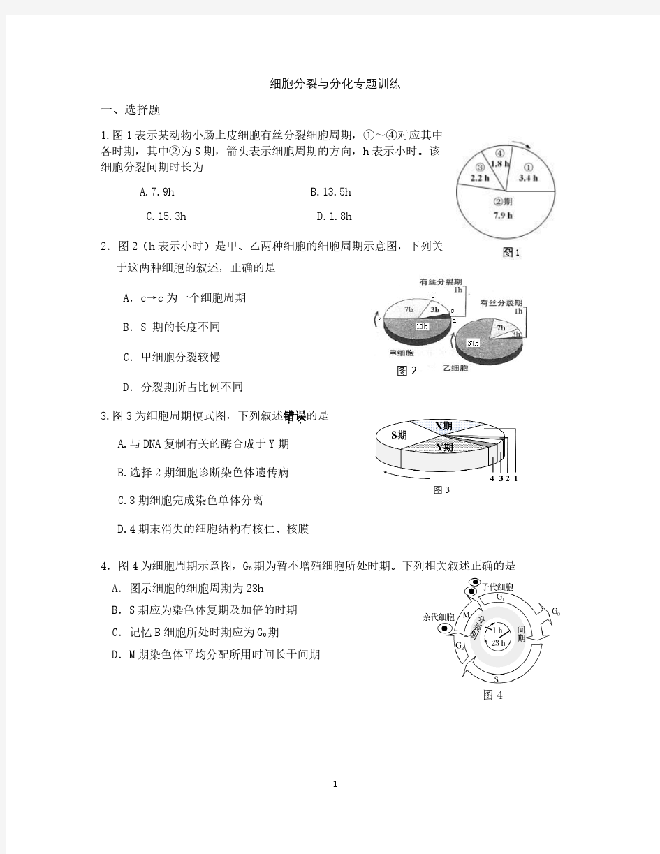 细胞分裂与分化专题训练一、选择题