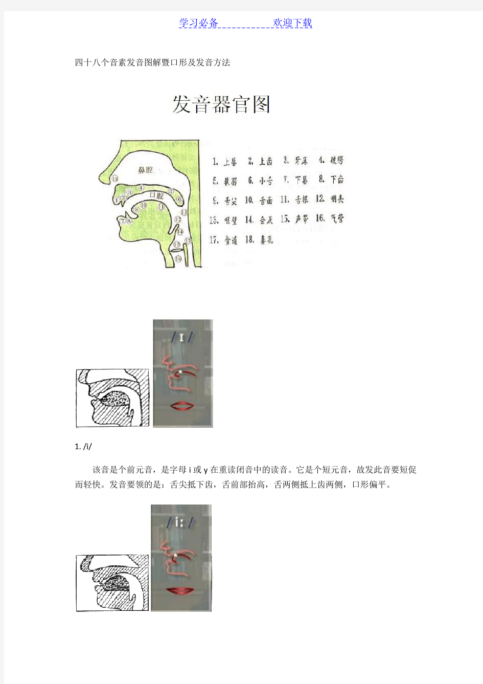 英语国际音标发音舌位图详解及发音方法大全