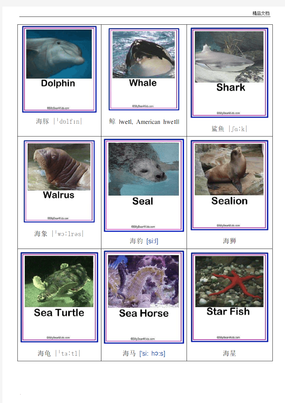 海洋动物英语单词