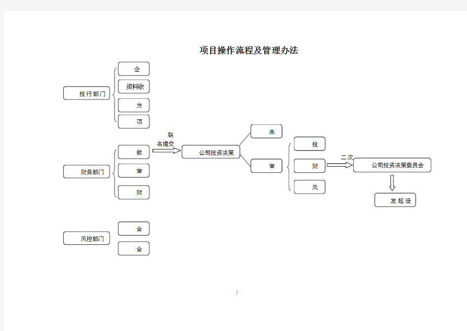 项目操作流程完整版