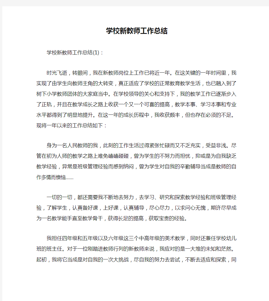 学校新教师工作总结