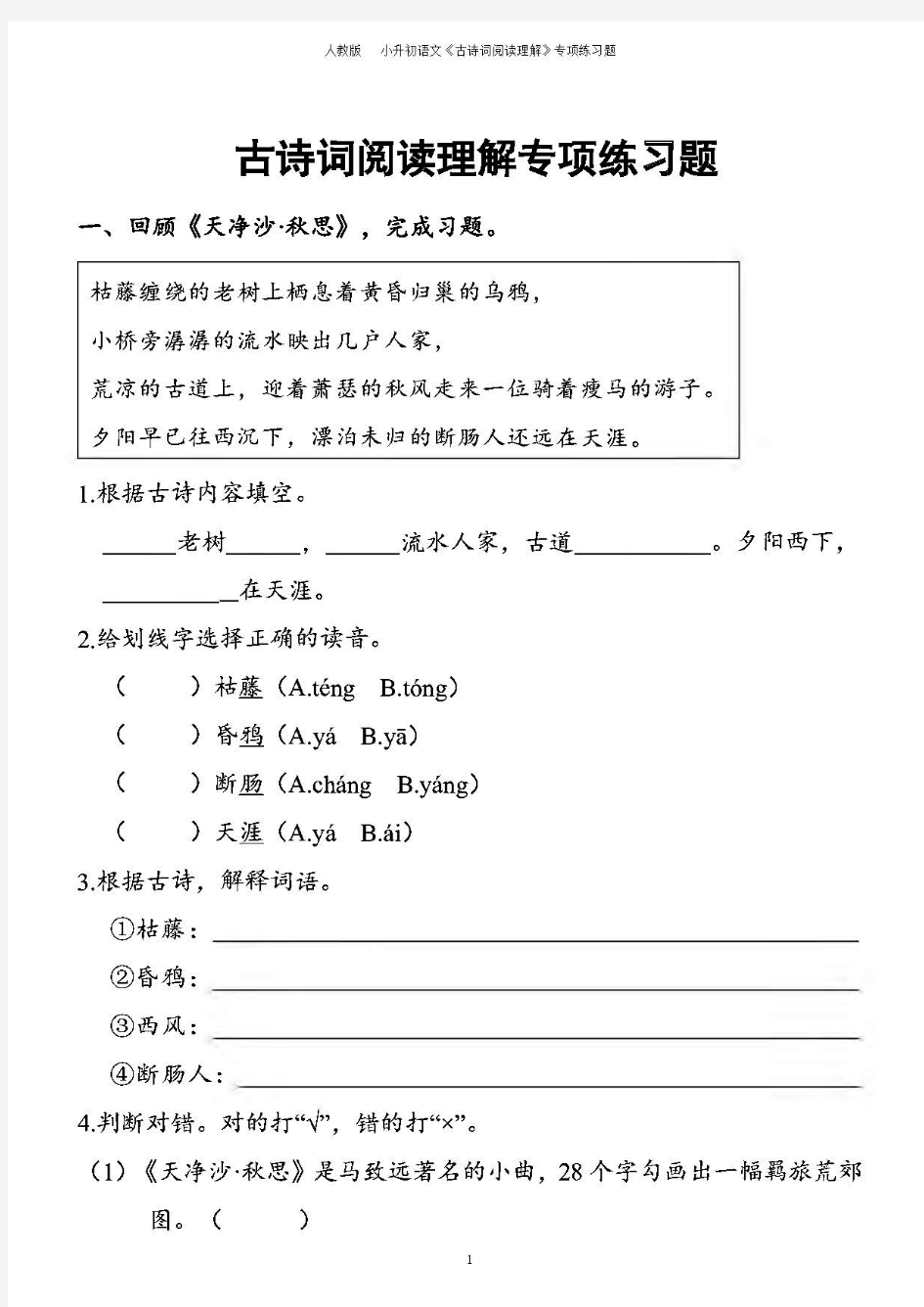 人教版小升初语文阅读理解专项练习题及答案