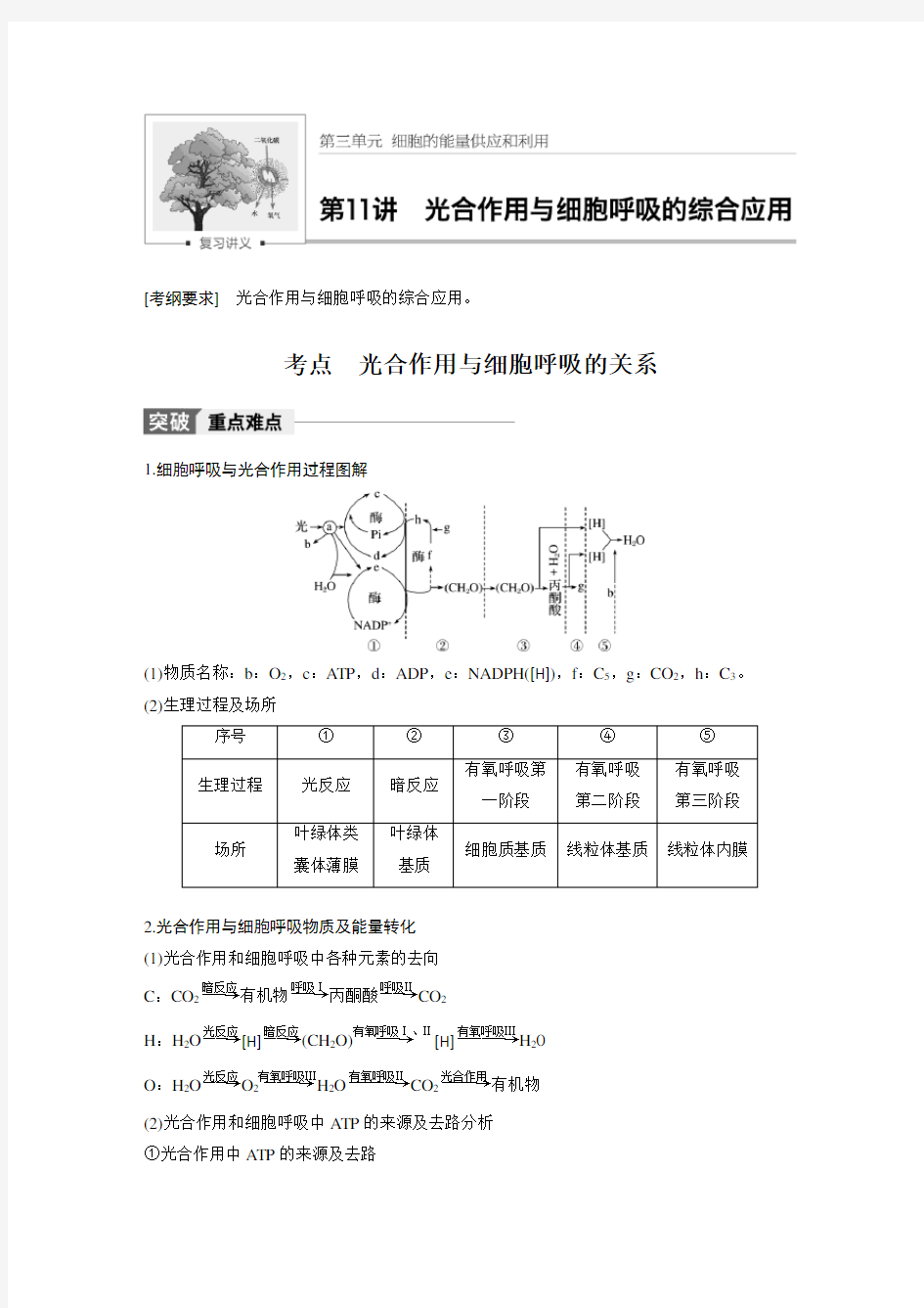 光合作用与细胞呼吸的综合