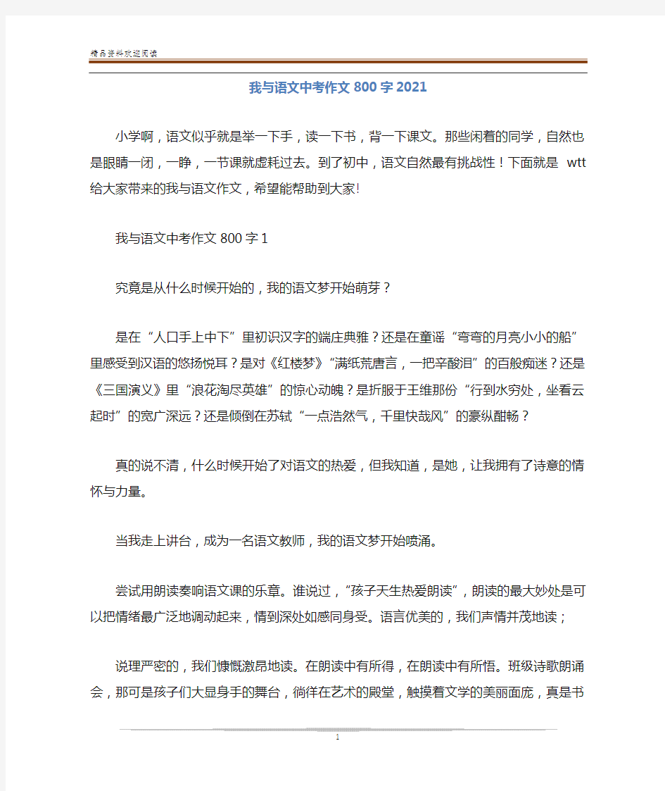 我与语文中考作文800字2020