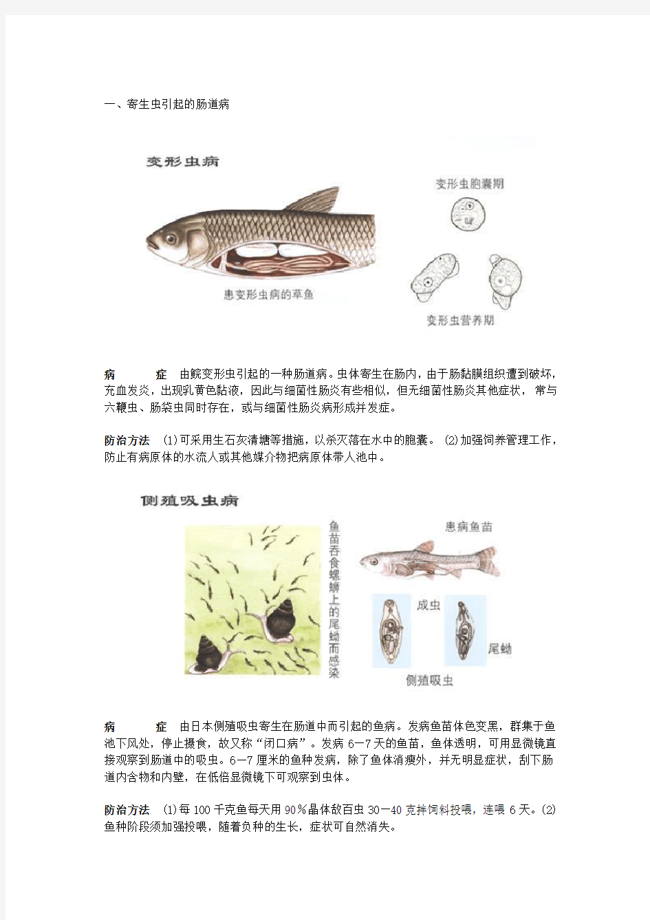 常见淡水鱼病彩色图谱