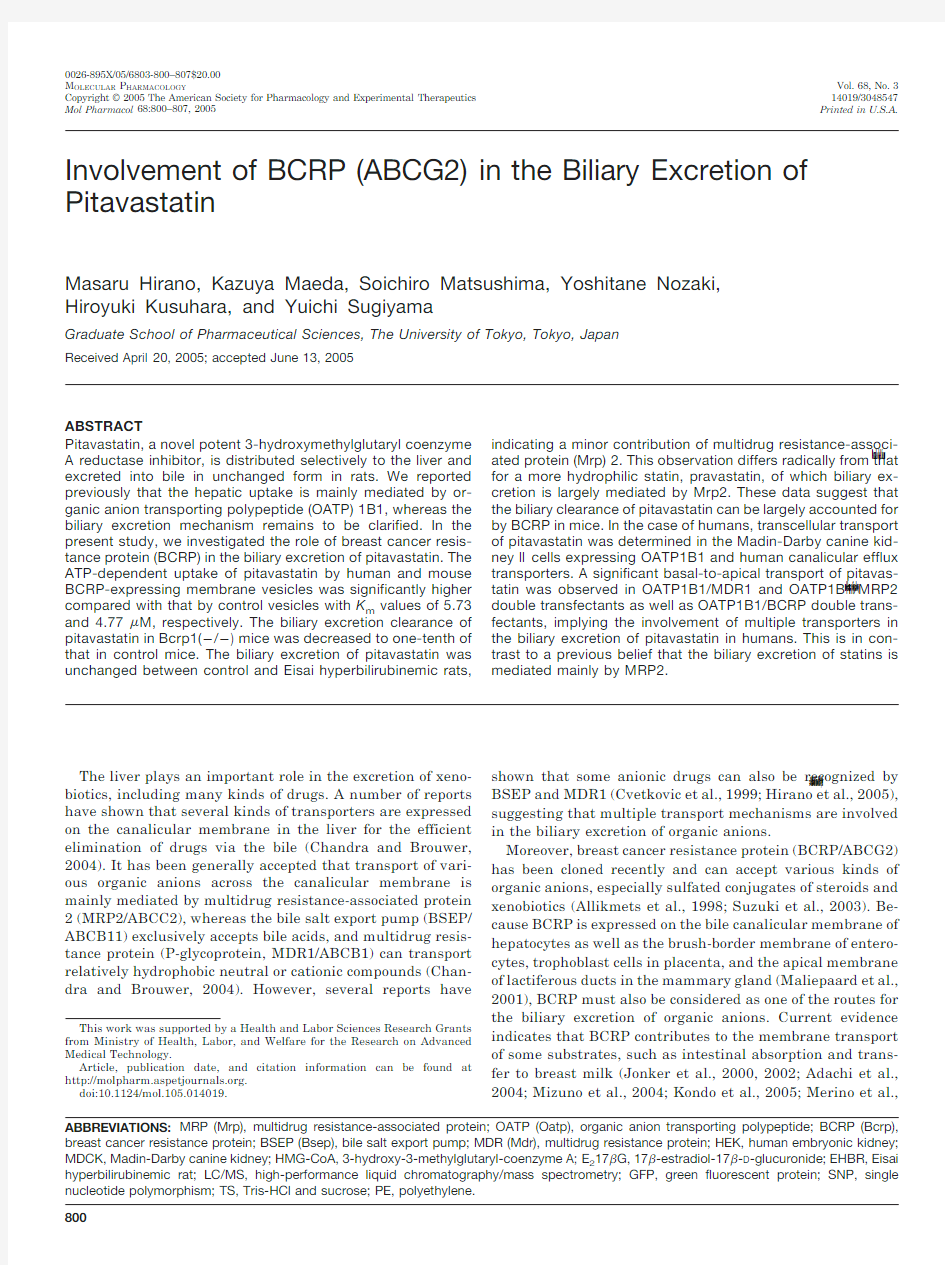 Involvement of BCRP (ABCG2) in the Biliary Excretion of