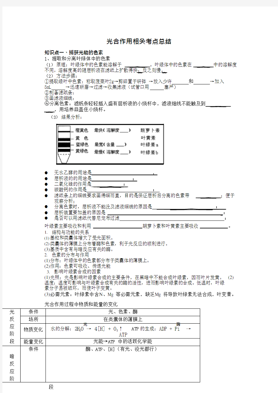 (完整版)光合作用知识点归纳总结,推荐文档 (2)