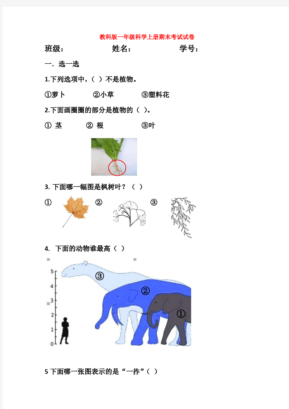 最新教科版一年级科学上册期末考试试卷