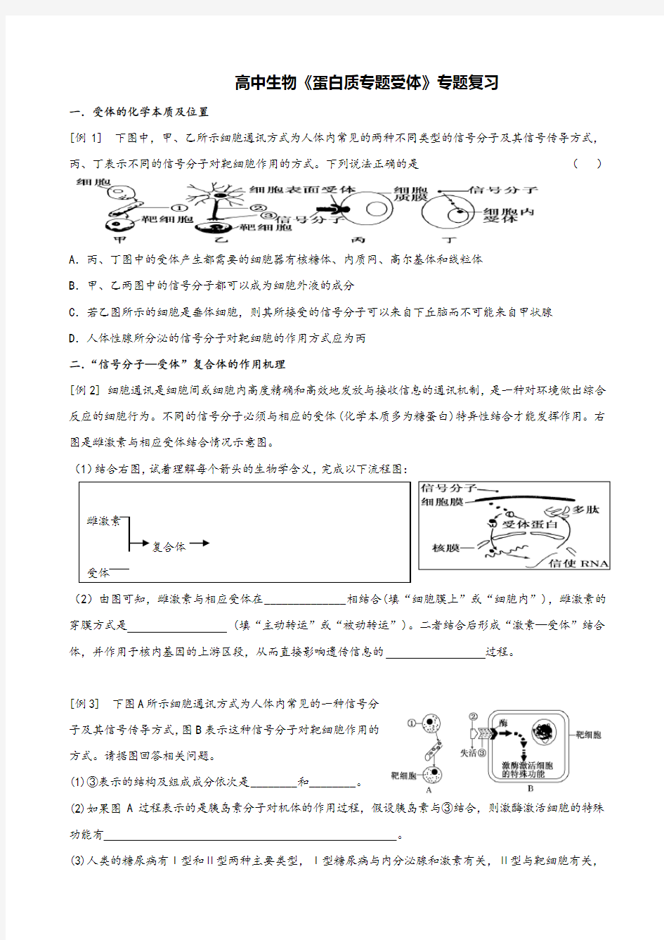 高中生物《蛋白质专题受体》专题复习