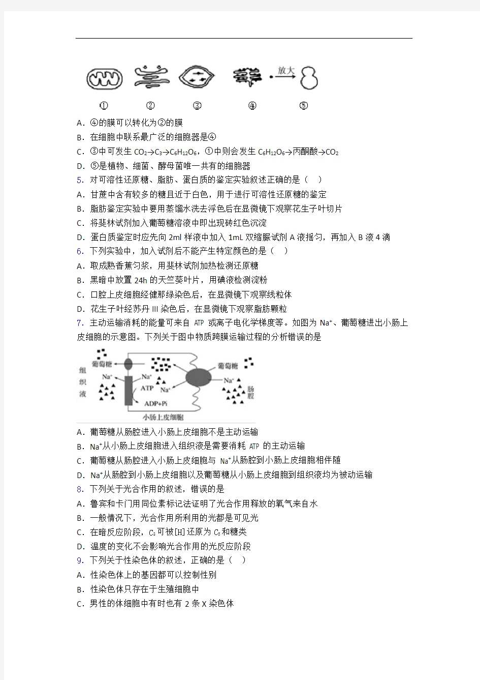 洛阳市高一上学期期末考试生物试卷(含答案)