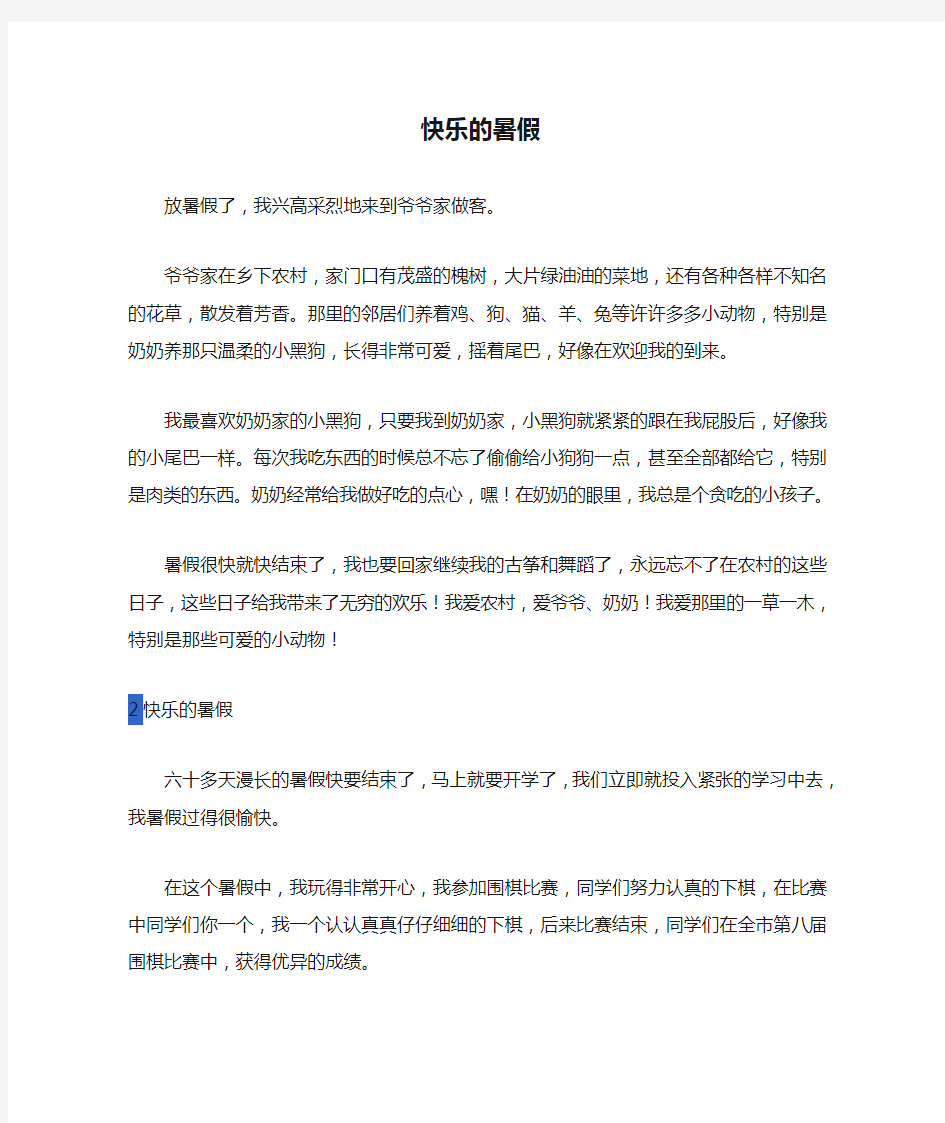 快乐的暑假作文300字