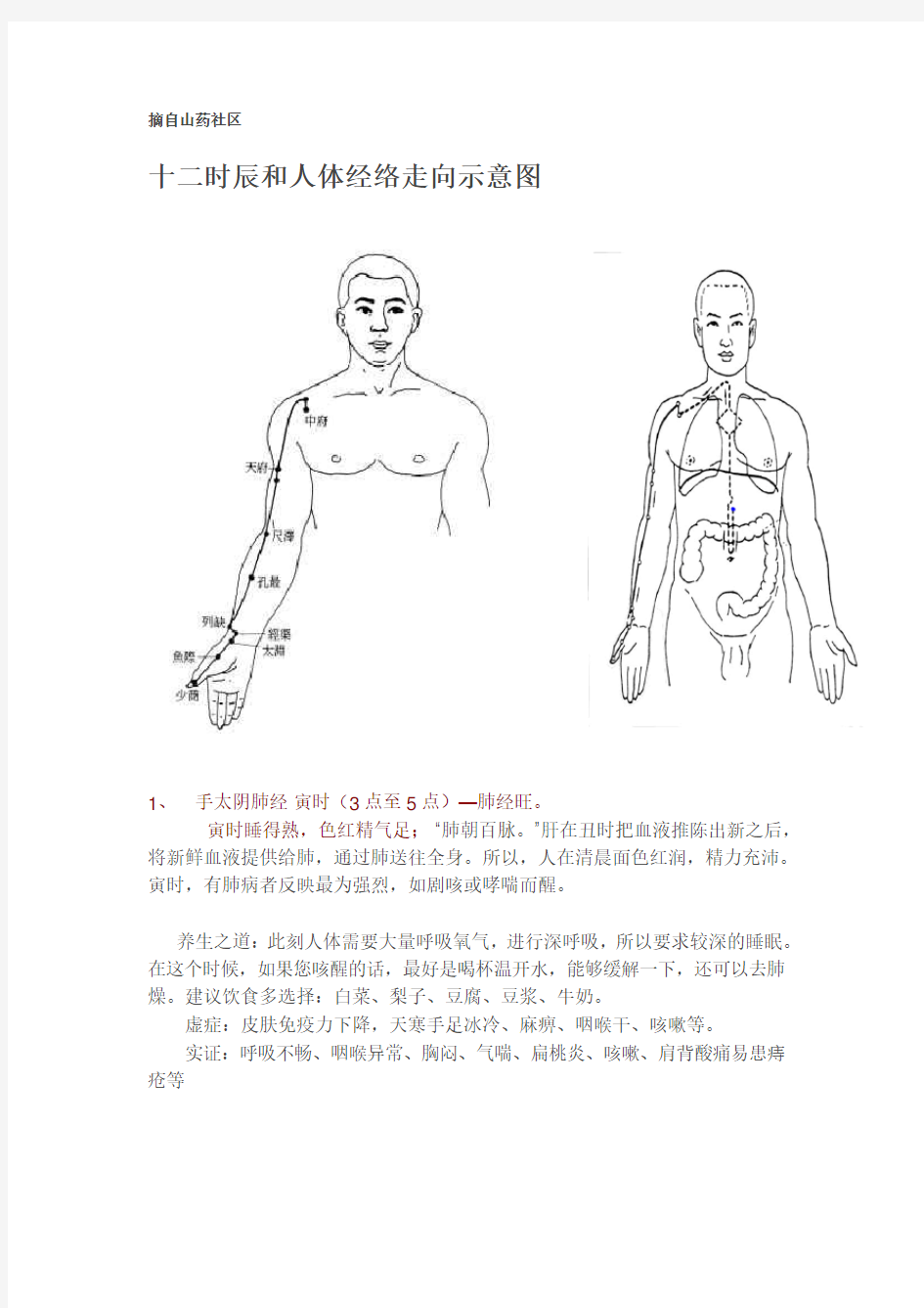 十二时辰和人体经络走向示意图