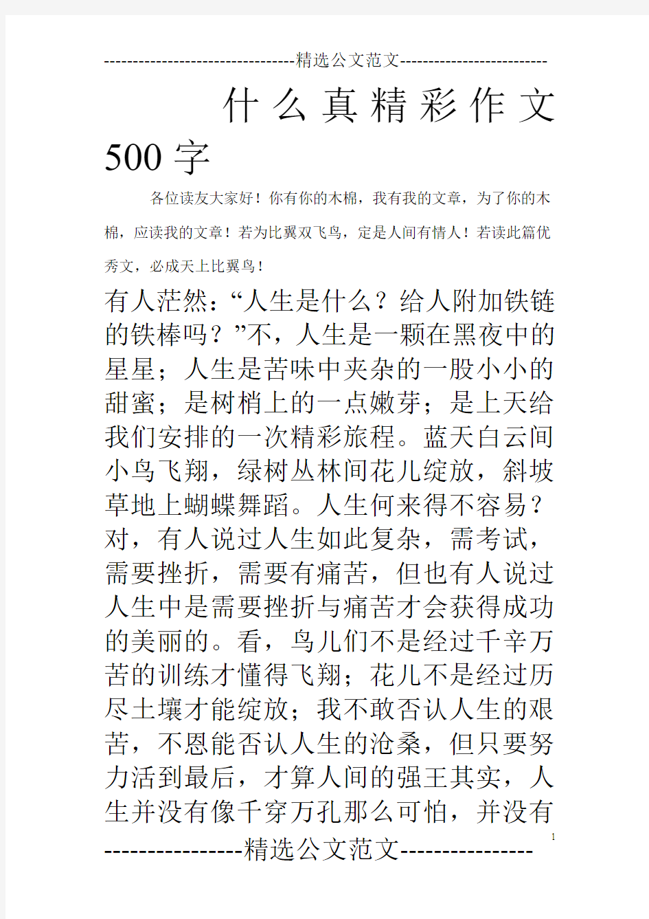 什么真精彩作文500字