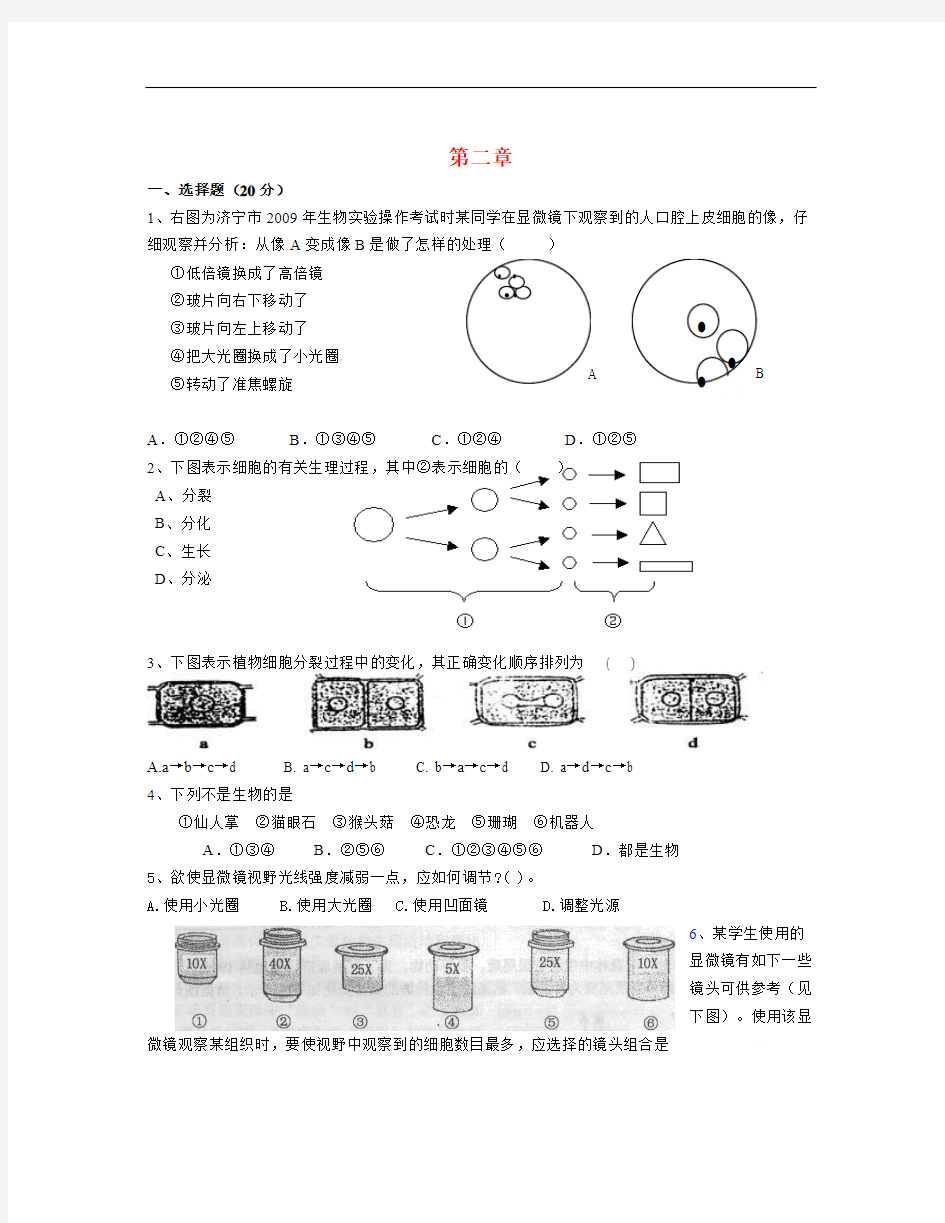 山东省无棣县第一实验学校七年级生物上册 第一单元 第二章 观察生物结构单元综合测试题 (新版)济南版