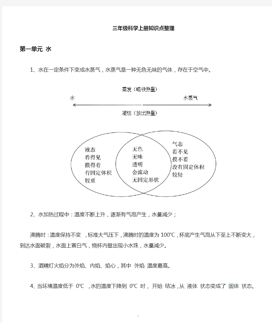 小学科学教科版三年级上册全册知识点整理