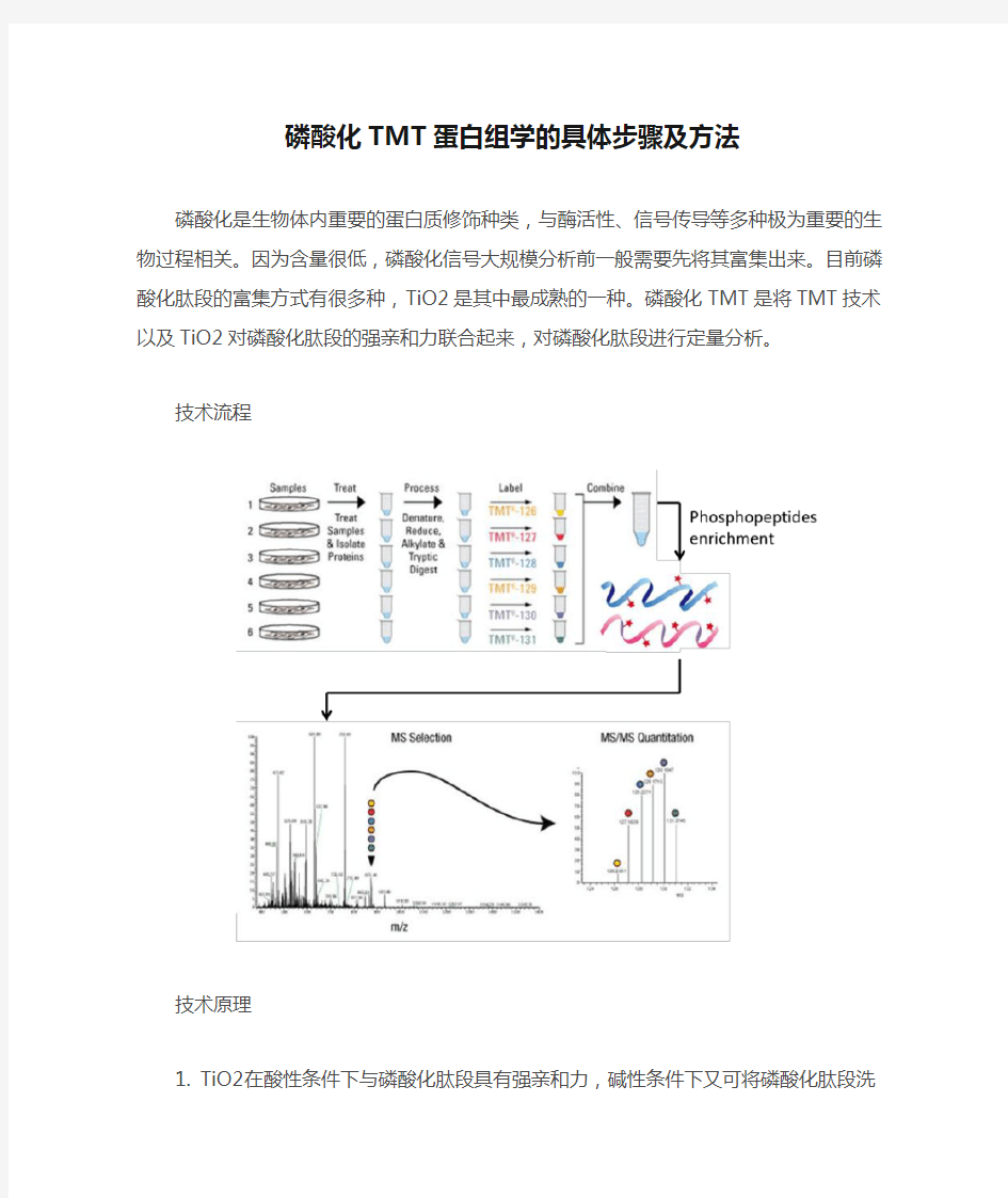 磷酸化TMT蛋白组学的具体步骤及方法