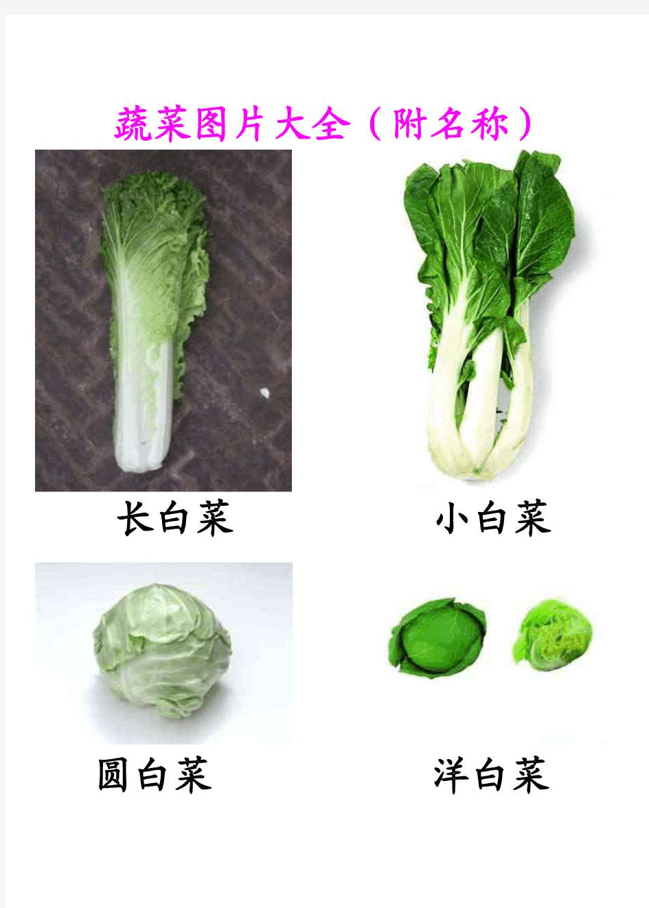 蔬菜图片大全(附名称)