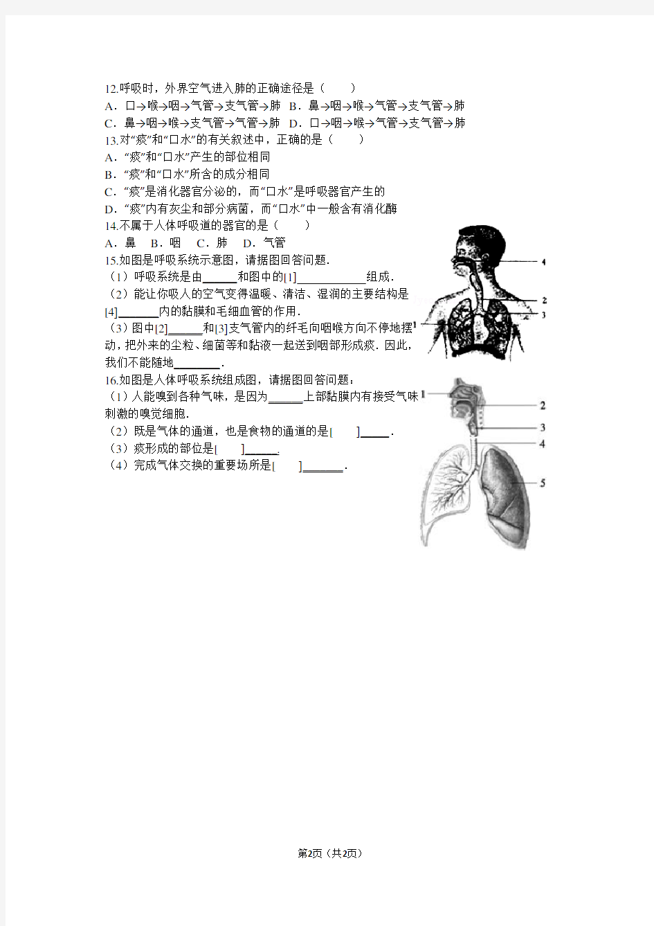 第一节呼吸道对空气的处理练习题