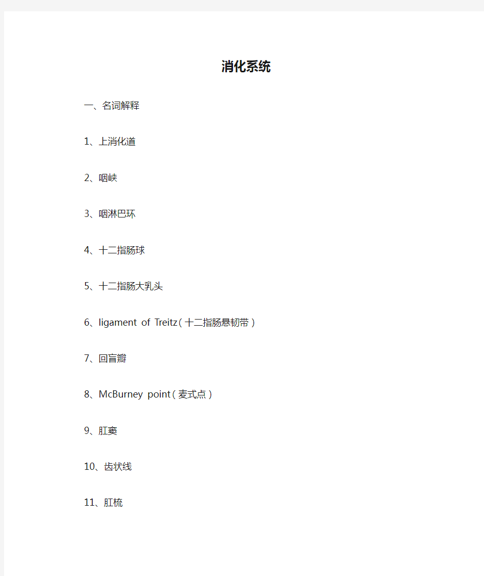 系统解剖学消化系统