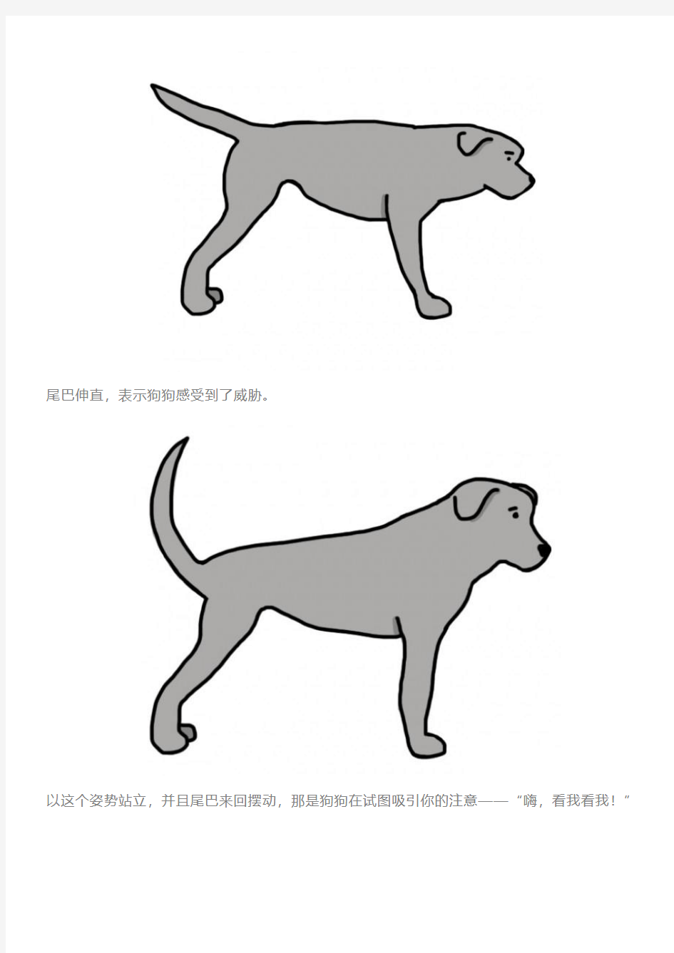 狗尾巴会告诉你的11件事