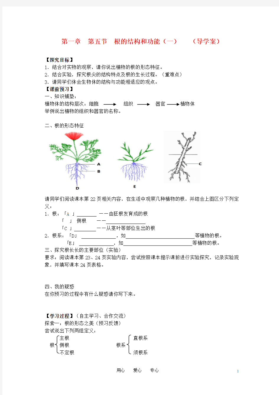 八年级生物上册 根的结构和功能导学案(无答案)