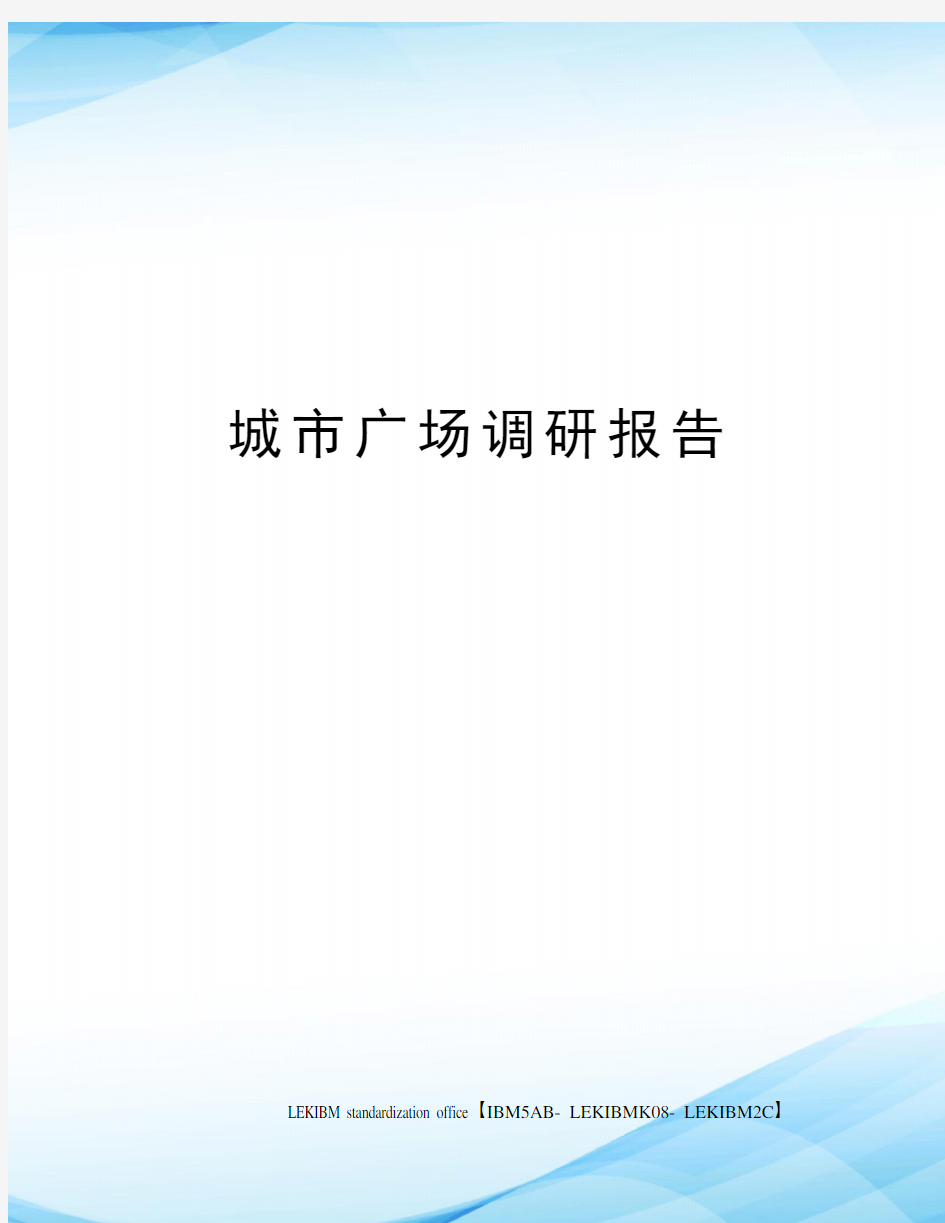 城市广场调研报告