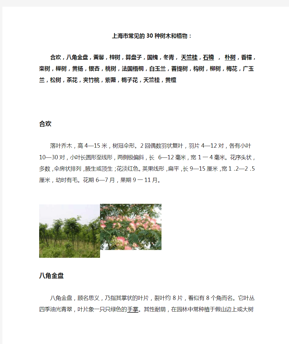 上海市30种常见树木和植物.