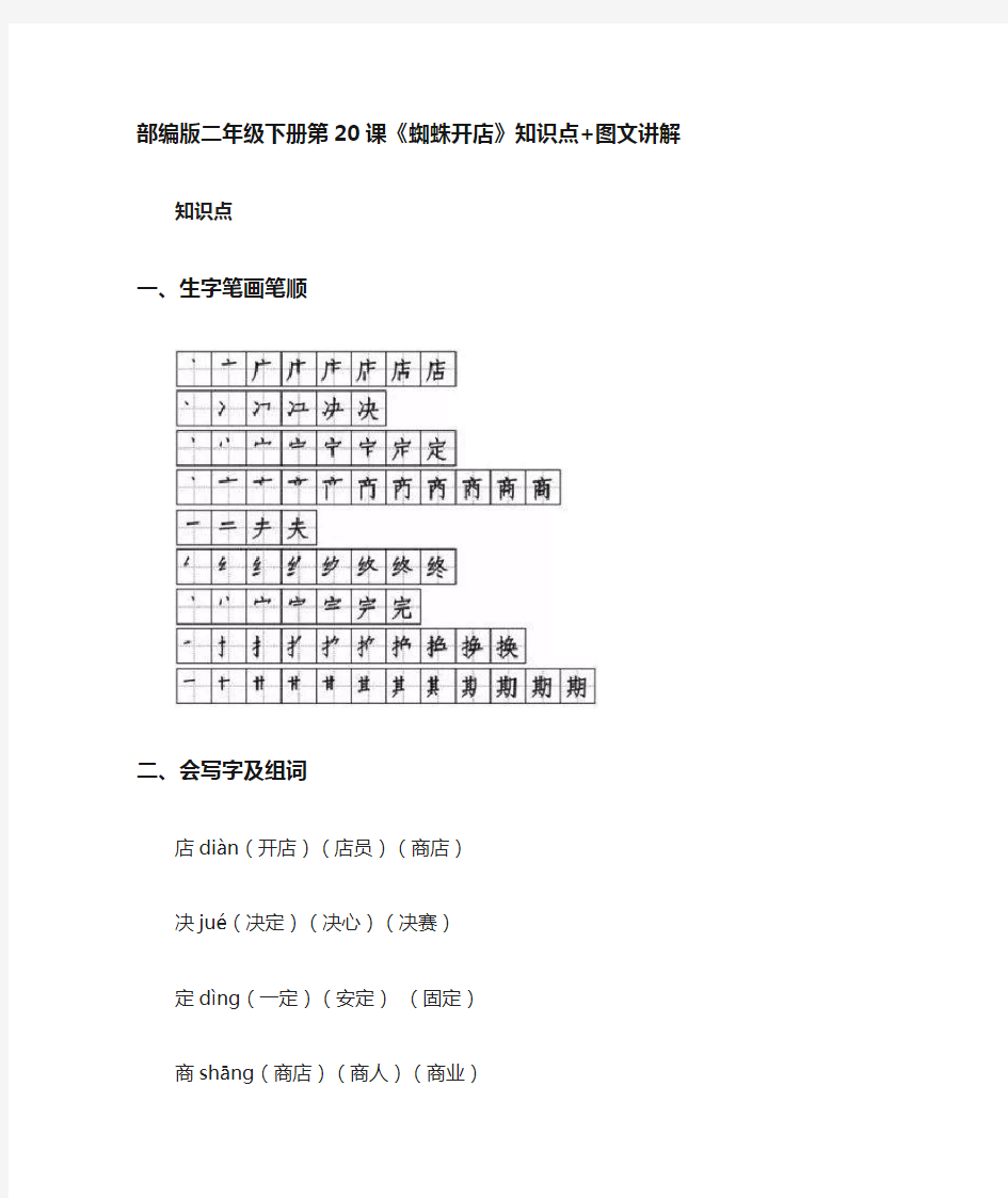 部编版二年级语文下册第20课《蜘蛛开店》知识点+图文讲解