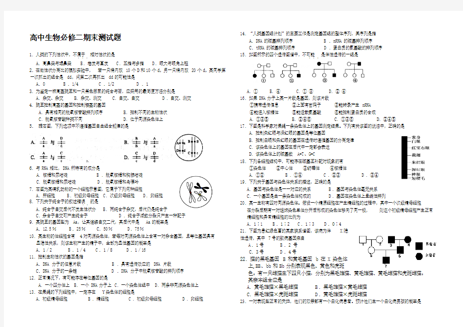 高中生物必修二期末试题及答案57937