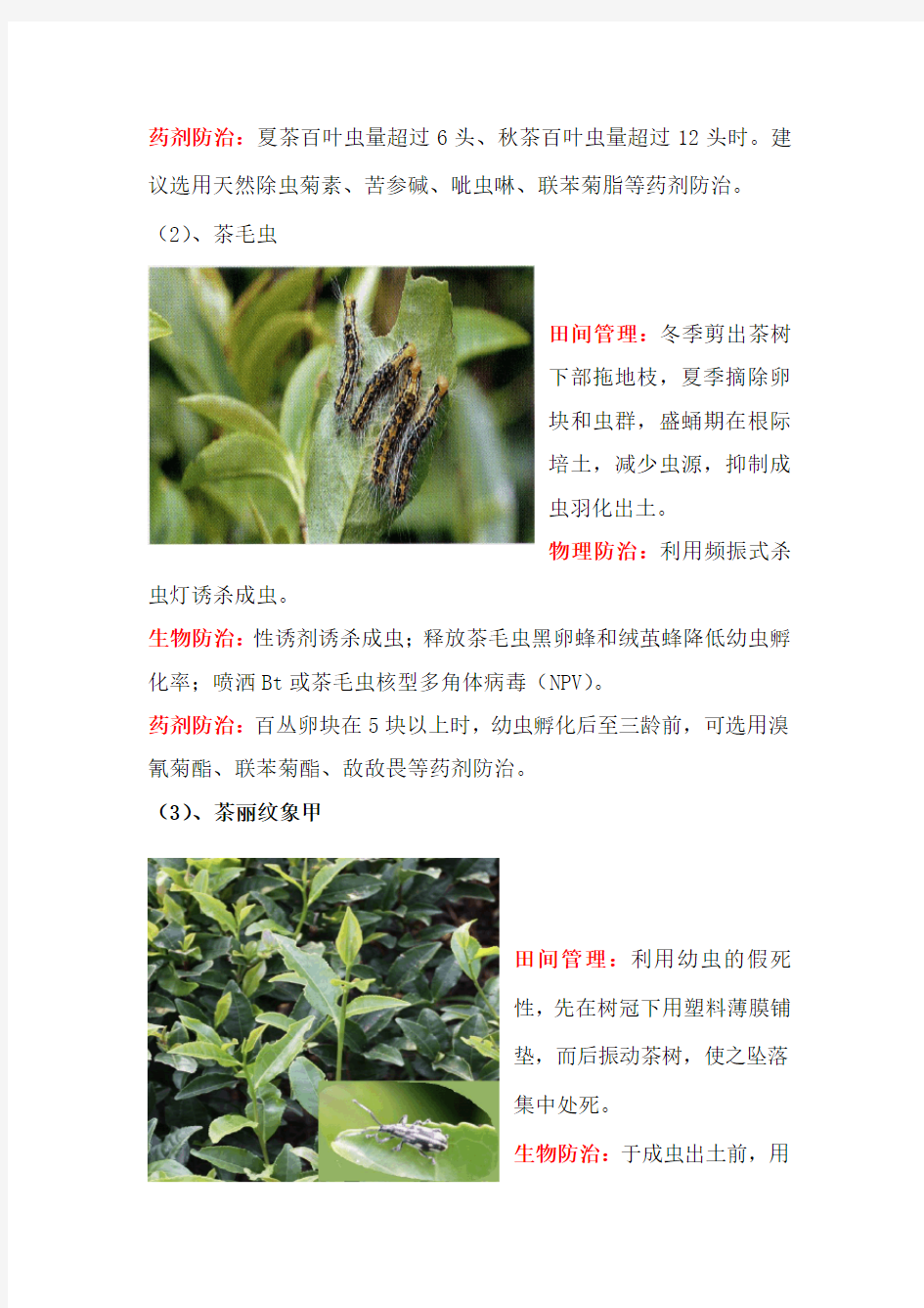 (推荐)茶树常见病虫害防治措施